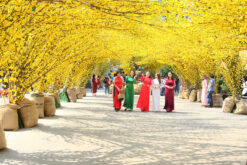 Tôn vinh giá trị văn hóa và tinh thần sẻ chia tại Lễ hội Tết Việt 2024