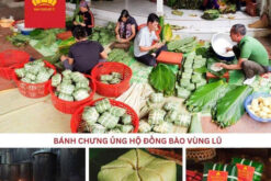 THƯ KÊU GỌI  ỦNG HỘ CÁC TỔ CHỨC CÁ NHÂN LÀ HỘI VIÊN VCCA  KHẮC PHỤC HẬU QUẢ THIÊN TAI